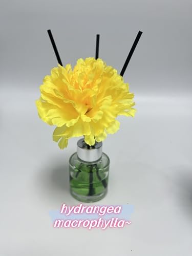 100 Pack Black Diffuser Sticks for Strong Fragrance