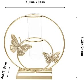 Unique Hydroponic Flower Vase with Frame for Home Decor