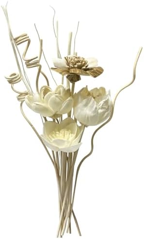 12Pcs Natural Reed Diffuser Sticks Set for Home Decor