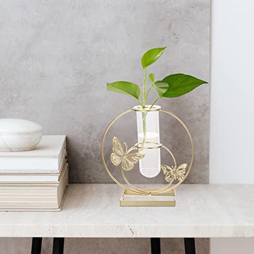 Unique Hydroponic Flower Vase with Frame for Home Decor