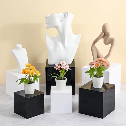 6 Pcs Acrylic Display Riser Cases with Hollow Bottoms