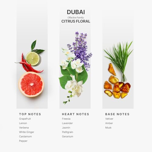 Aromaplan Hotel Scents Dubai 5 Fl Oz Diffuser Oil