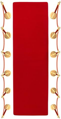 Trademark Innovations Red Carpet Aisle Runner 3x10