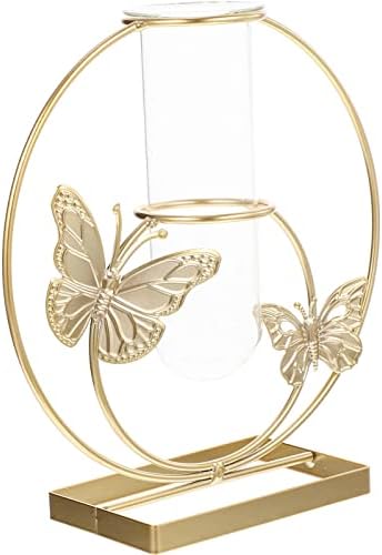 Unique Hydroponic Flower Vase with Frame for Home Decor