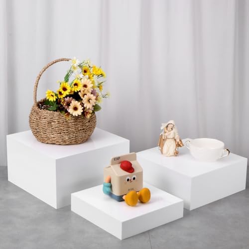 6 Pack Acrylic Display Boxes for Parties and Events