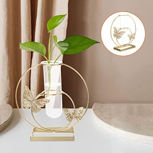 Unique Hydroponic Flower Vase with Frame for Home Decor