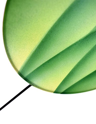 Green Canopy Modern Indoor Mobile Horizontal Style 22 x 42