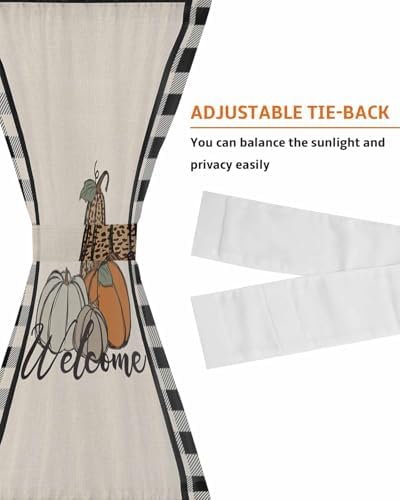Door Curtains for Privacy 54x40 Sheer Panel with Tiebacks