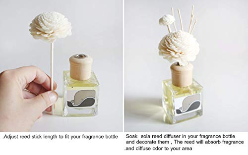 10 Damask Rose Sola Flower Reed Diffuser Set by Plawanature