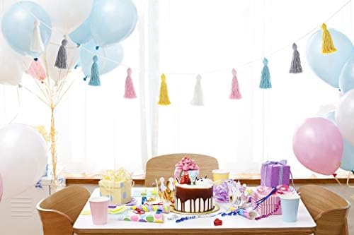 Mkono 2 Pack Tassel Garland Pastel Wall Decor