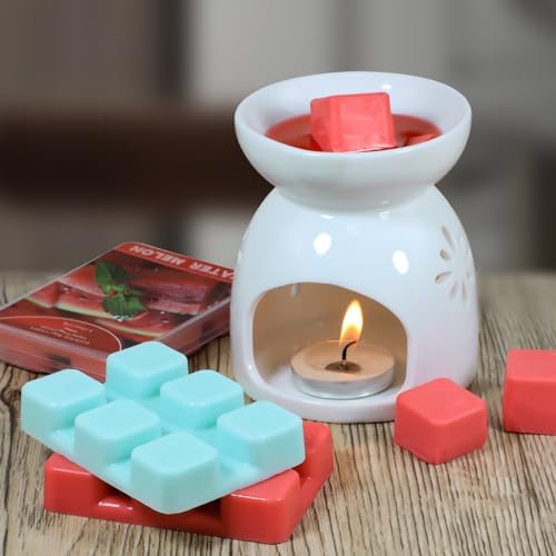 SCENTORINI Wax Melts 6 Pack - Mint Watermelon Strawberry Mango Passion Fruit Pineapple