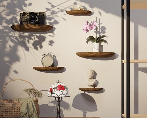 QsQueen Solid Wood Half Round Floating Wall Shelves