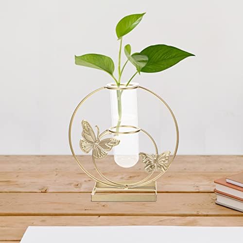Unique Hydroponic Flower Vase with Frame for Home Decor