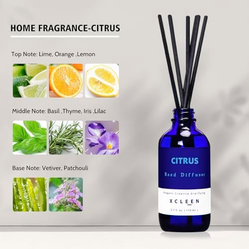 Citrus Scented Reed Diffuser Set Orange Lime Lemon