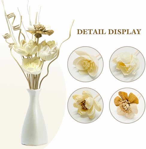 12Pcs Natural Reed Diffuser Sticks Set for Home Decor