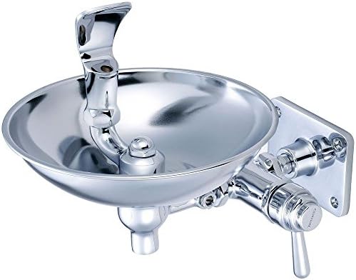 Chrome Wall-Mount Drinking Fountain by Central Brass