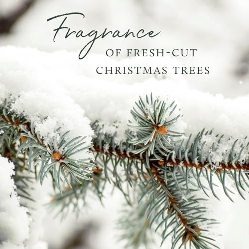 Thymes Home Fragrance Mist - Frasier Fir 3 oz