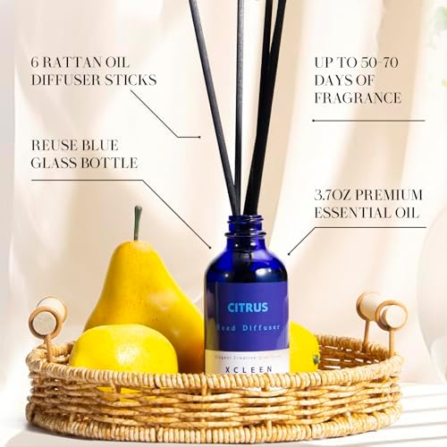 Citrus Scented Reed Diffuser Set Orange Lime Lemon