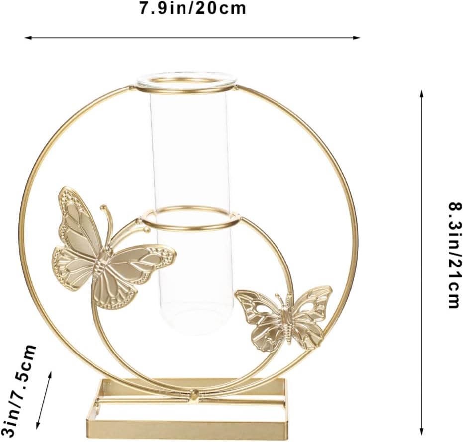 Unique Hydroponic Flower Vase with Frame for Home Decor