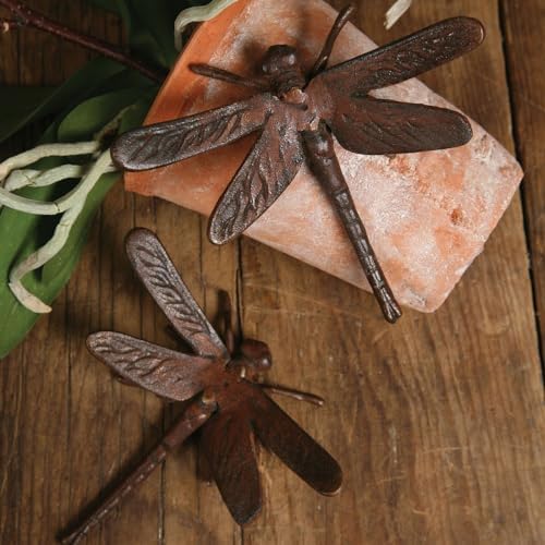 HomArt Cast Iron Dragonfly Rust Decor