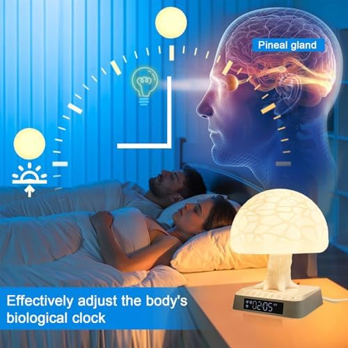 Sunrise Alarm Clock with APP Control and White Noise