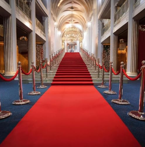 Gomoly 3 Ft x 10 Ft Red Carpet Runner 1400 GSM