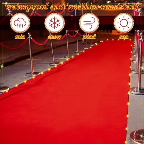 Red Carpet Runner with LED Light for Events