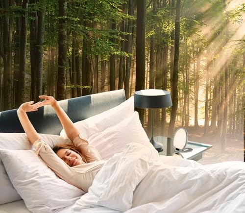 Portable Light Therapy Lamp with Sunrise Alarm