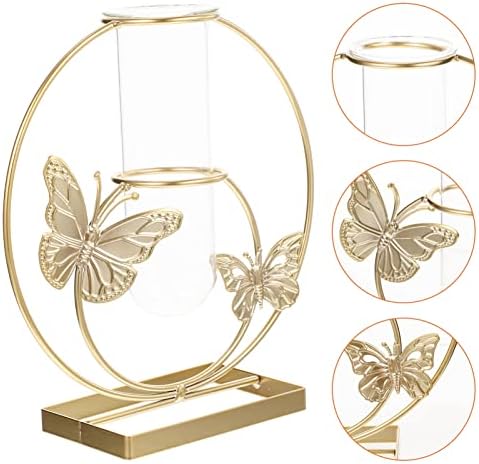 Unique Hydroponic Flower Vase with Frame for Home Decor