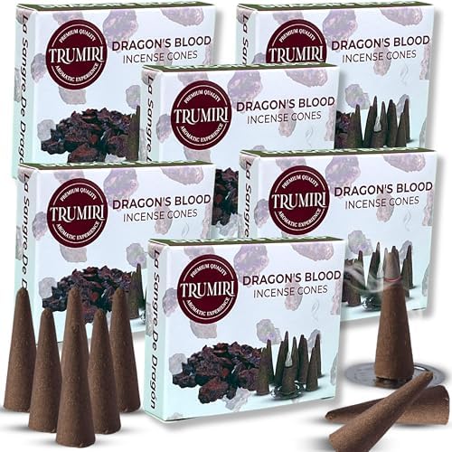 Dragons Blood Incense - 60 Cones Six Packs of 10