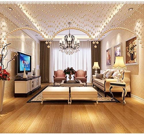 OKUOKA 60 Strand Crystal Bead Curtain for Doorways