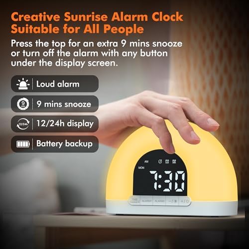 Te-Rich Sunrise Alarm Clock for Kids and Adults