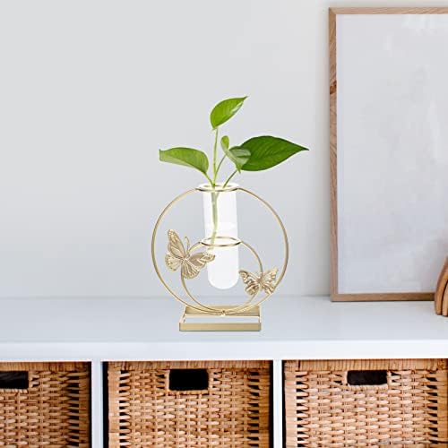 Unique Hydroponic Flower Vase with Frame for Home Decor