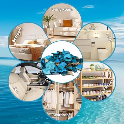 STRN Ocean Scented Potpourri Bowl Filler