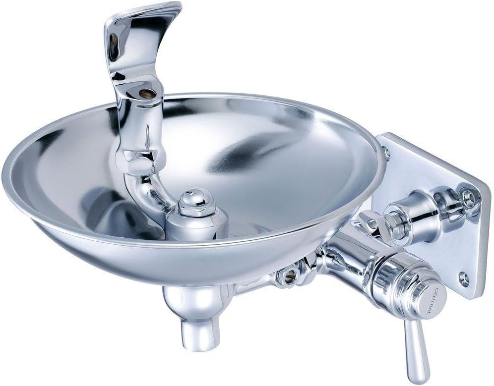 Chrome Wall-Mount Drinking Fountain by Central Brass