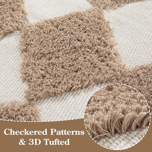 Lahome Checkered Boho Runner Rug 26x8 ft