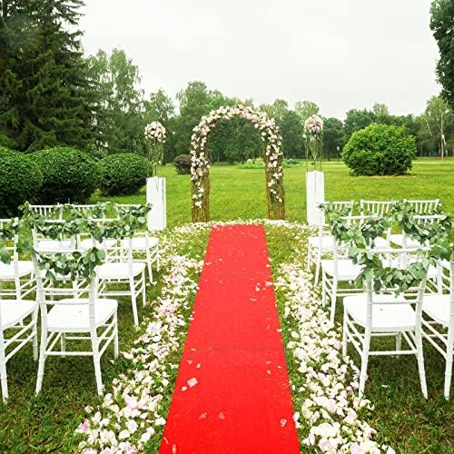 Shappy Red Carpet Runner Rug for Party Events