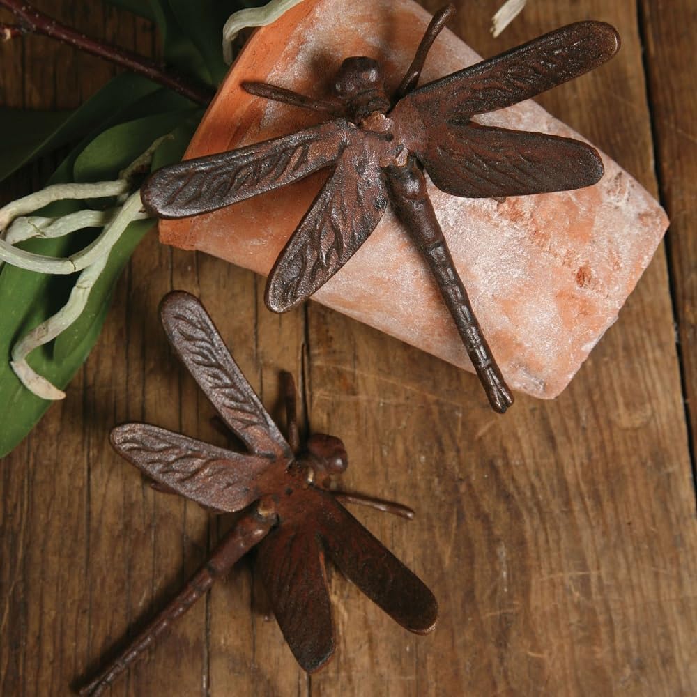 HomArt Cast Iron Dragonfly Rust Decor