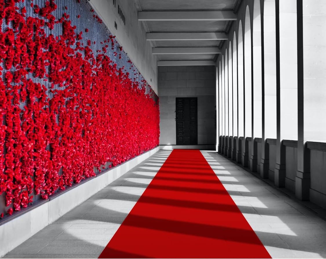 Gomoly 3 Ft x 10 Ft Red Carpet Runner 1400 GSM