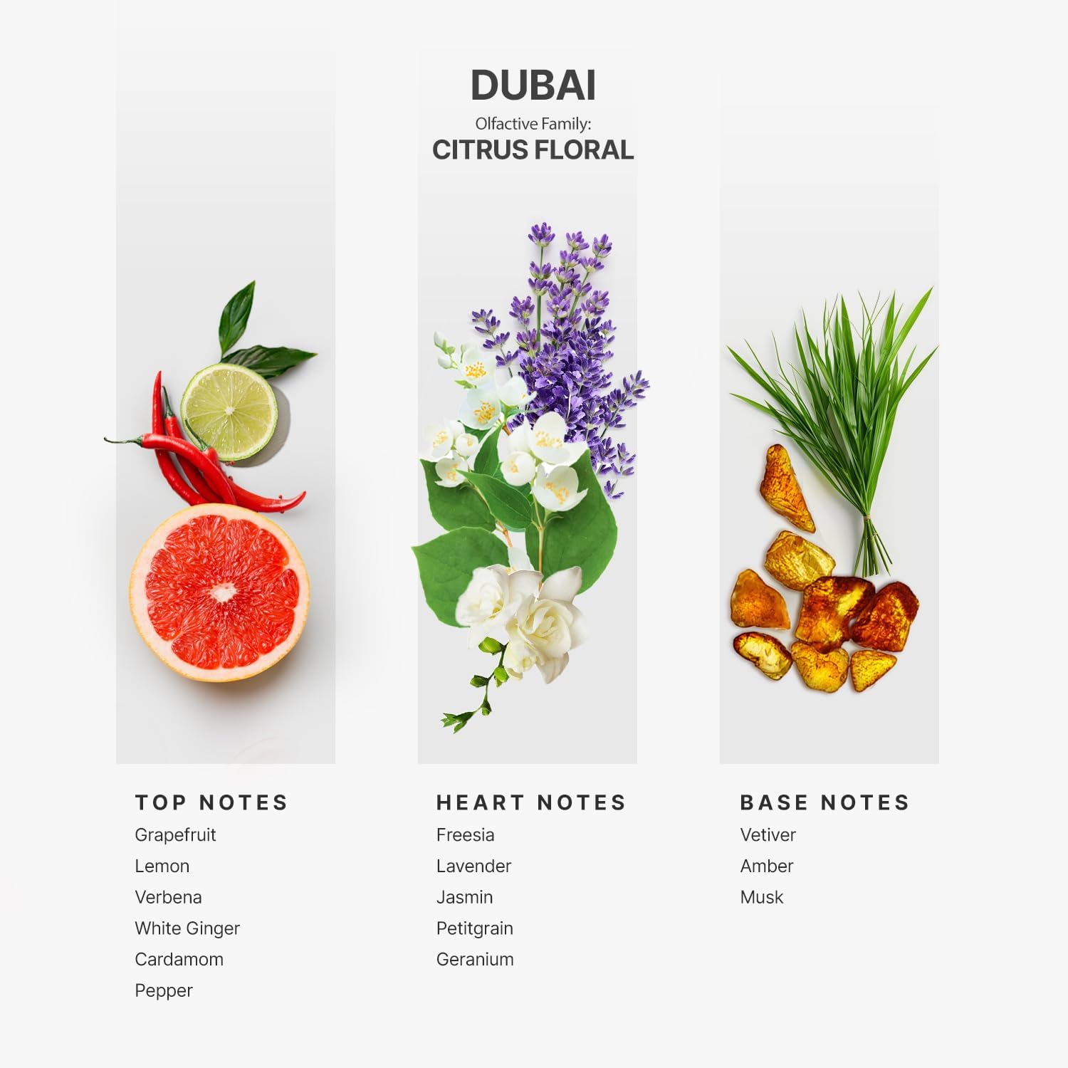 Aromaplan Hotel Scents Dubai 5 Fl Oz Diffuser Oil
