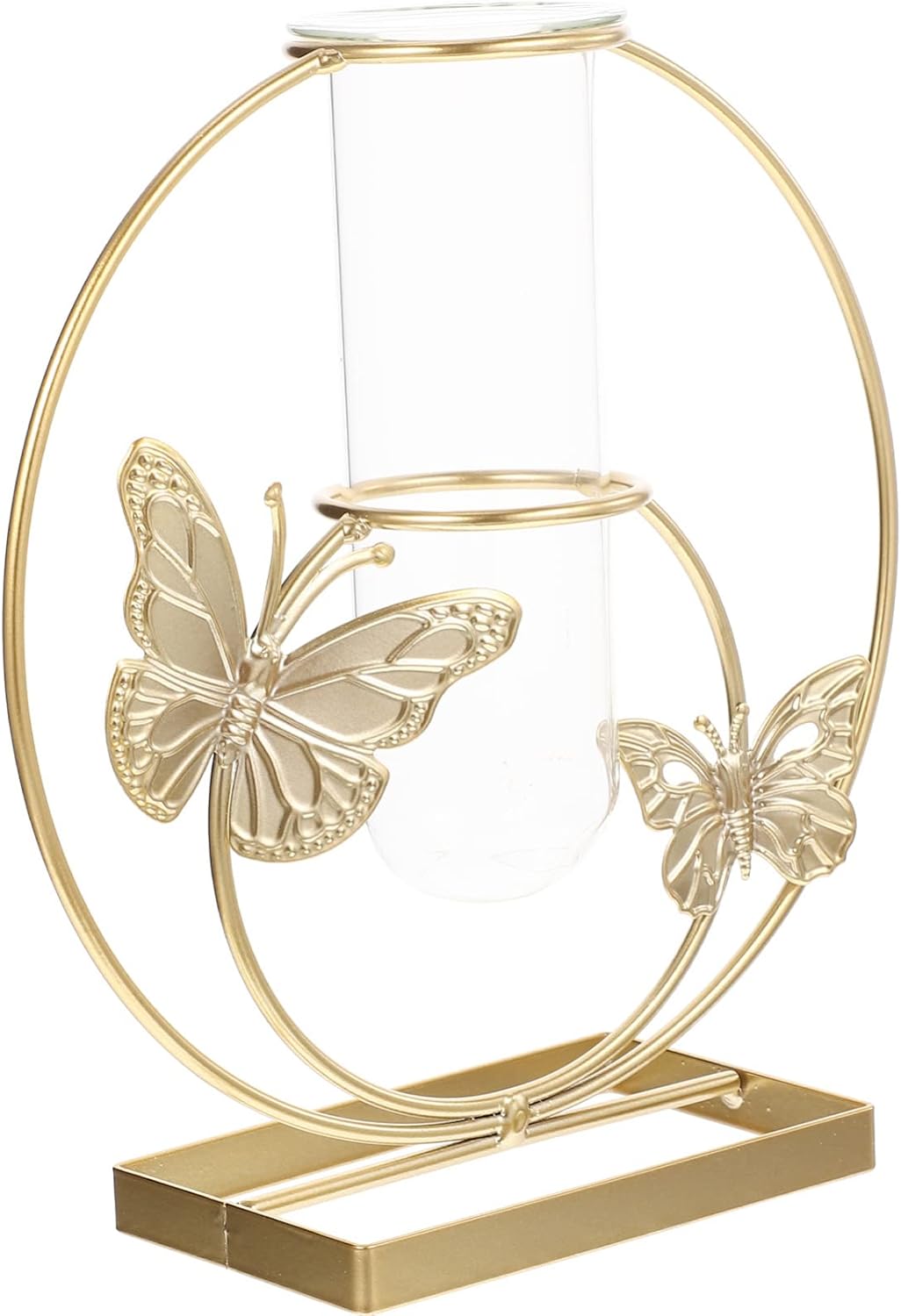 Unique Hydroponic Flower Vase with Frame for Home Decor