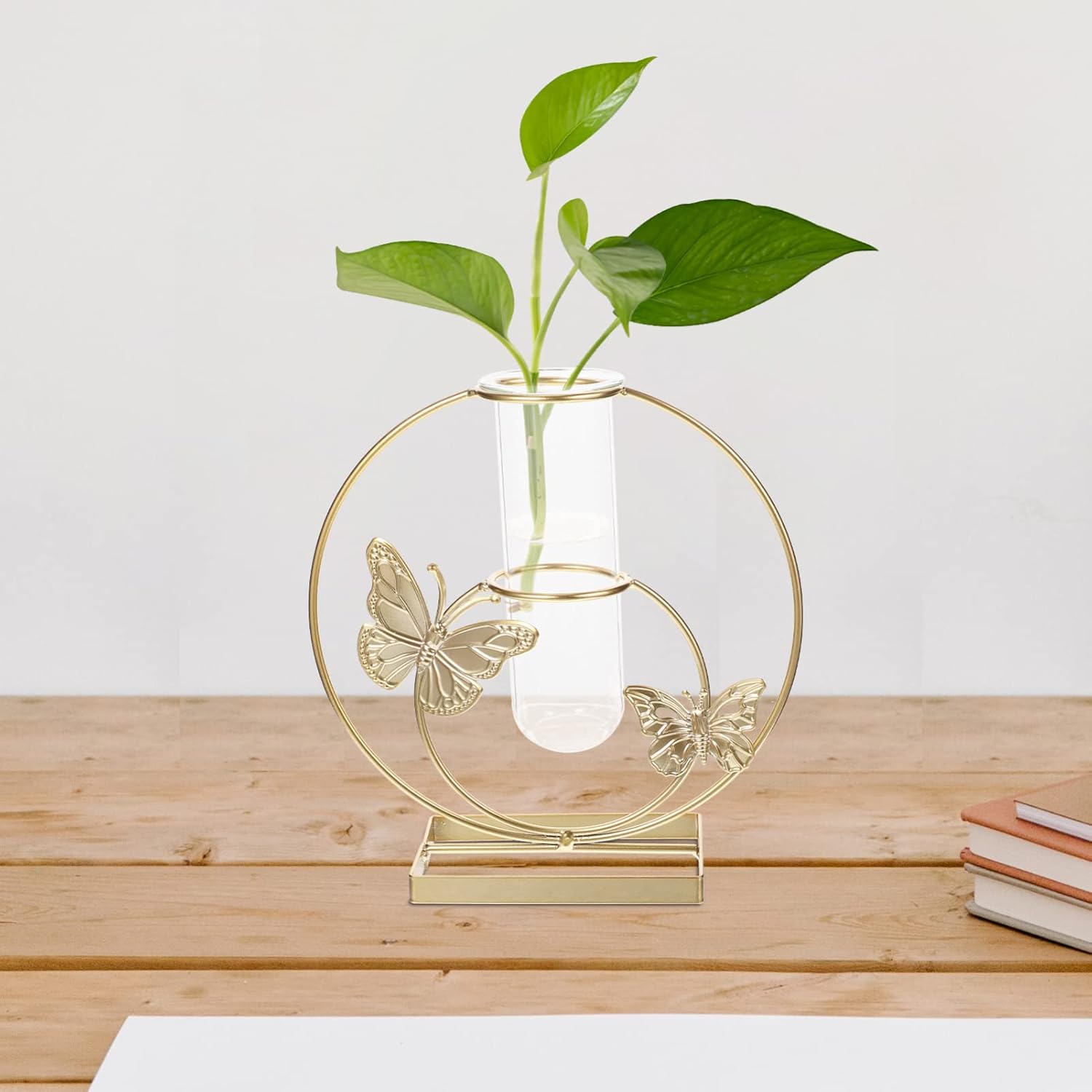 Unique Hydroponic Flower Vase with Frame for Home Decor
