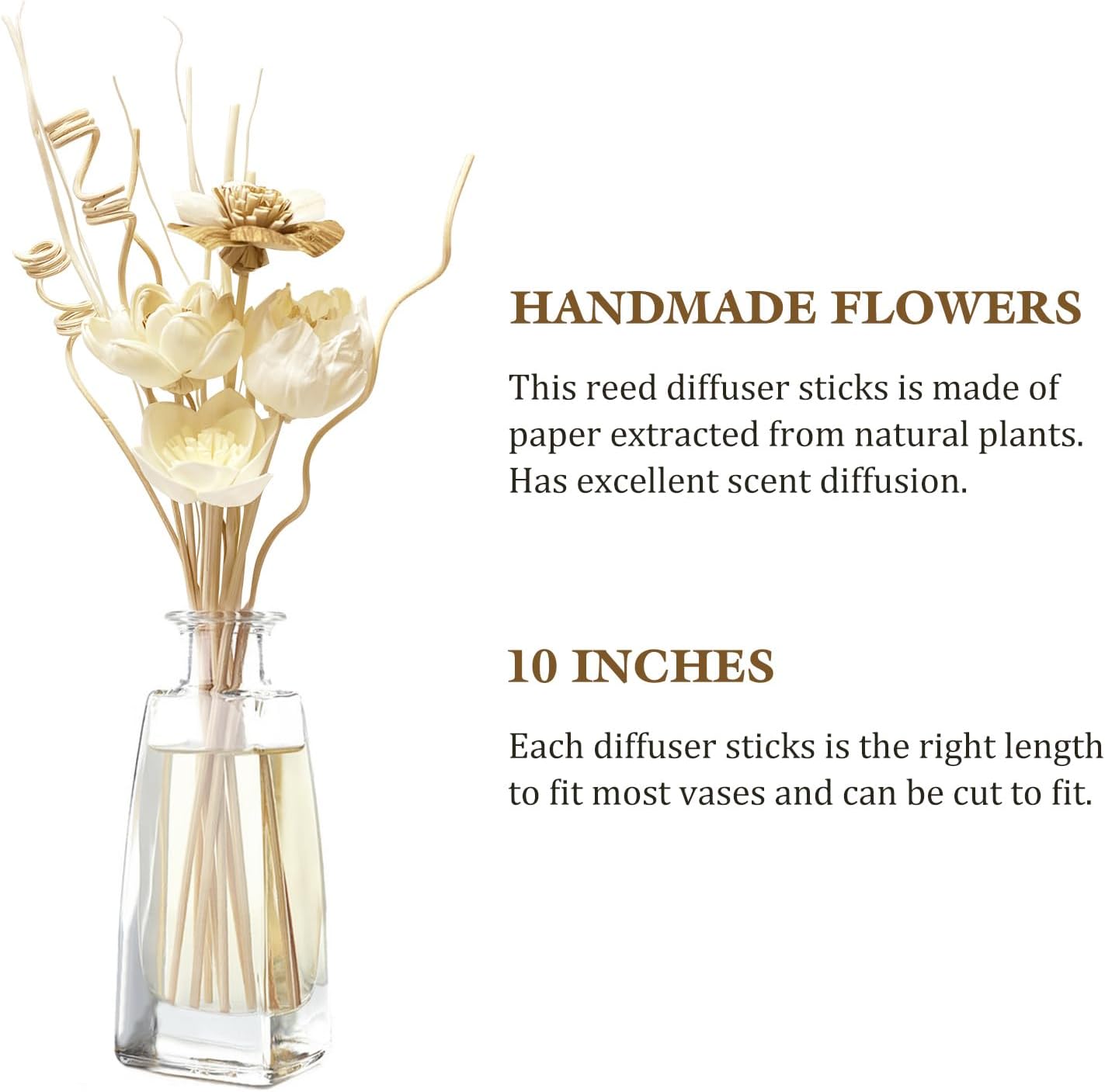 12Pcs Natural Reed Diffuser Sticks Set for Home Decor