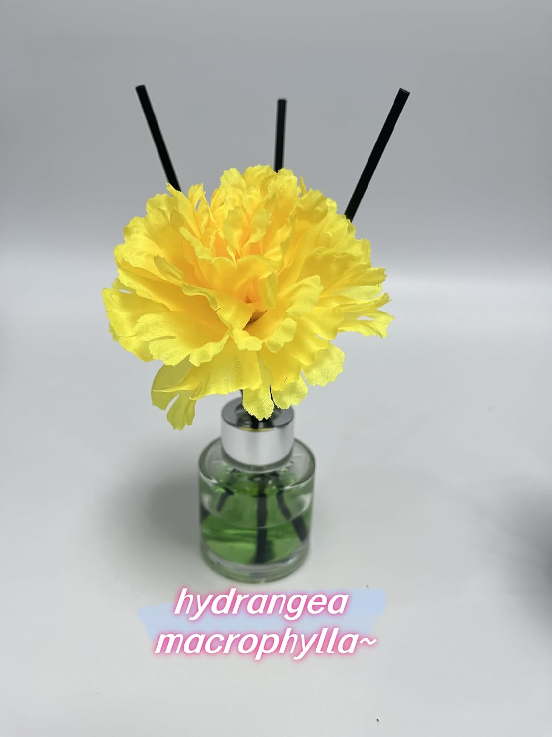 100 Pack Black Diffuser Sticks for Strong Fragrance