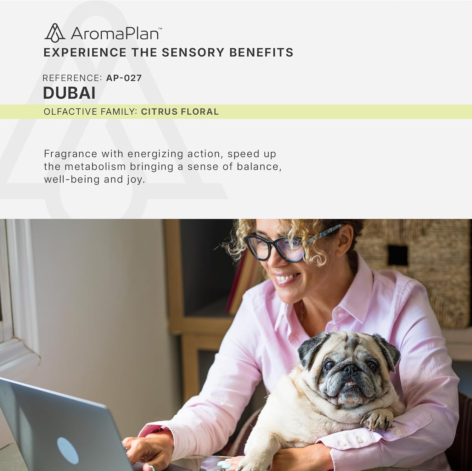 Aromaplan Hotel Scents Dubai 5 Fl Oz Diffuser Oil
