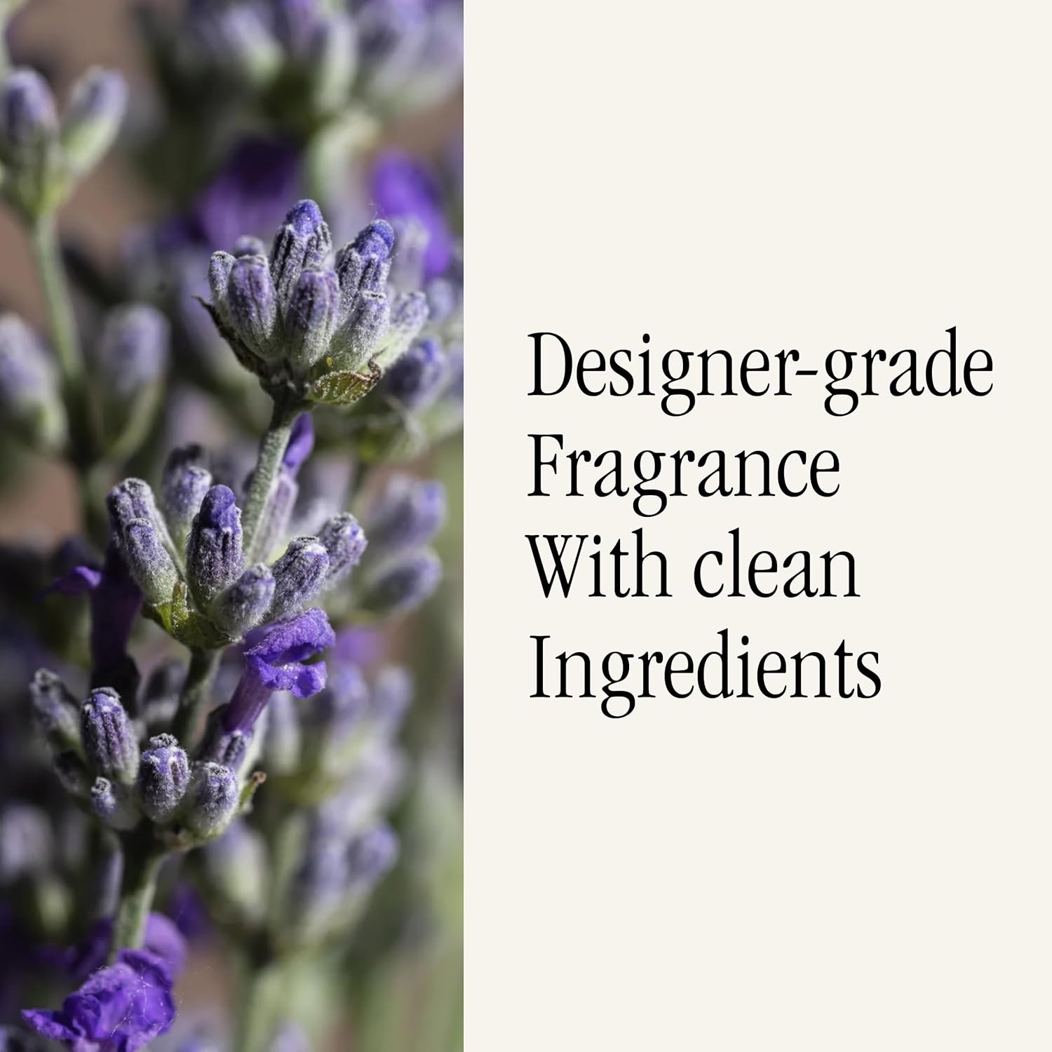 Pura Smart Home Diffuser Refill - 2 Pack Lavender Fields