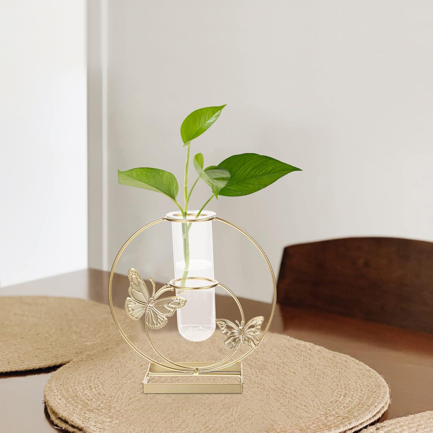 Unique Hydroponic Flower Vase with Frame for Home Decor