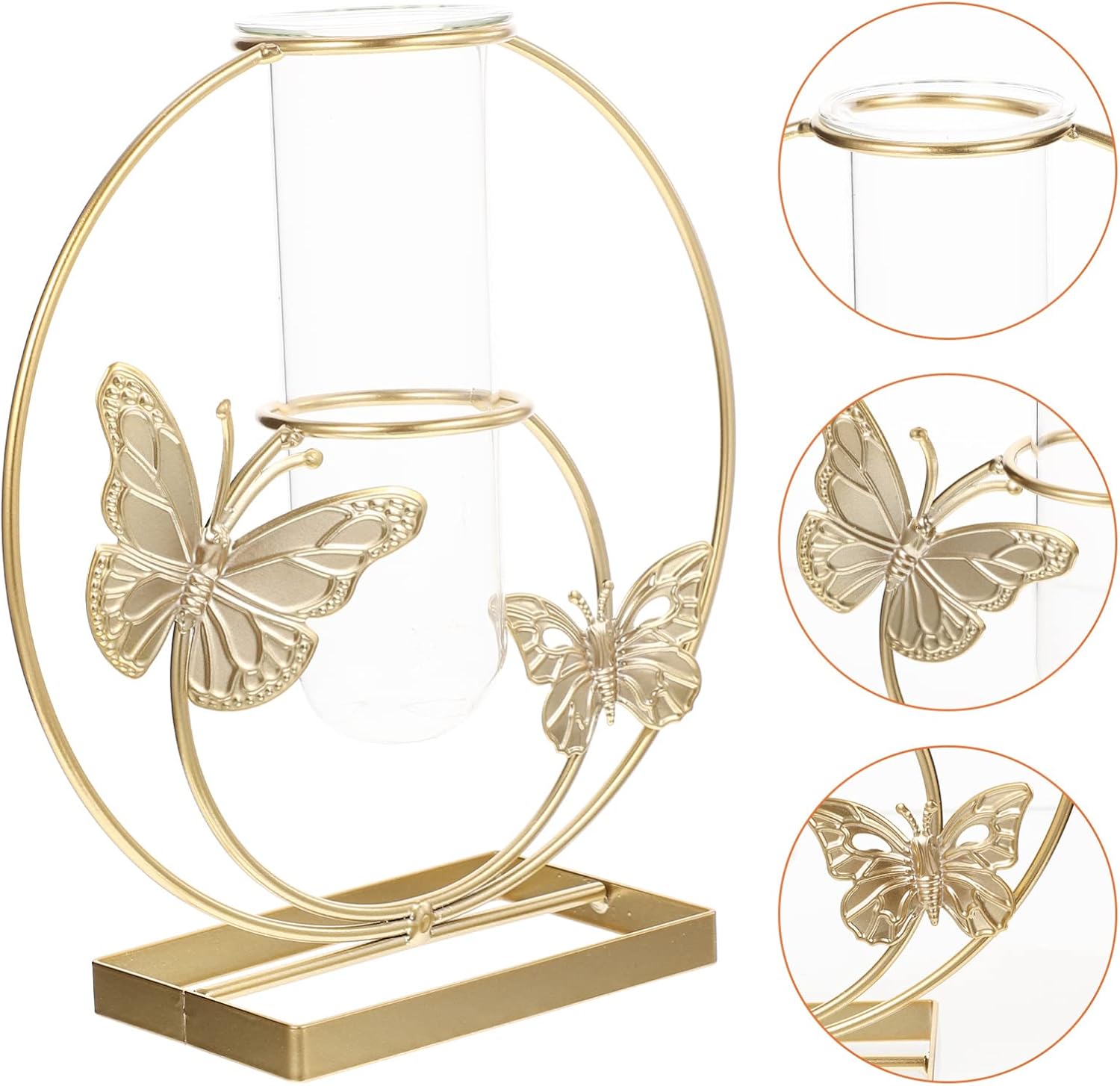 Unique Hydroponic Flower Vase with Frame for Home Decor