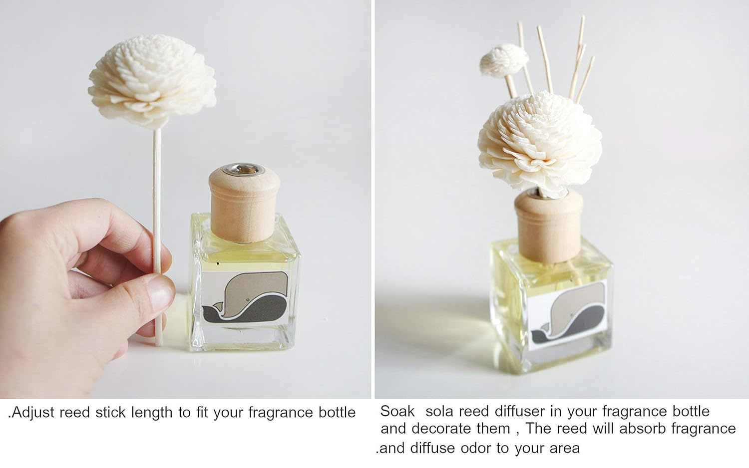 10 Damask Rose Sola Flower Reed Diffuser Set by Plawanature