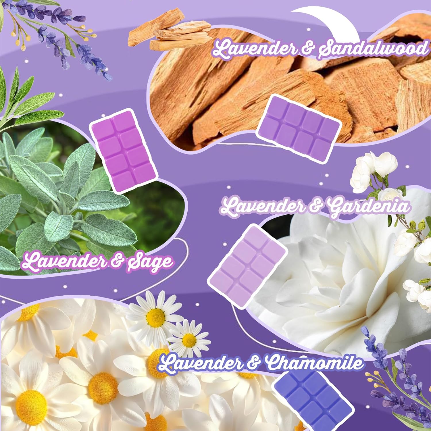 SCENTORINI Wax Melts 4-Pack Lavender Fragrance